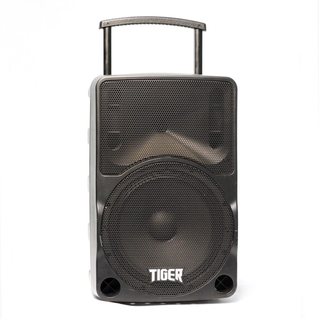 اسپیکر شارژی Tiger Ev10 - فروشگاه پژواک