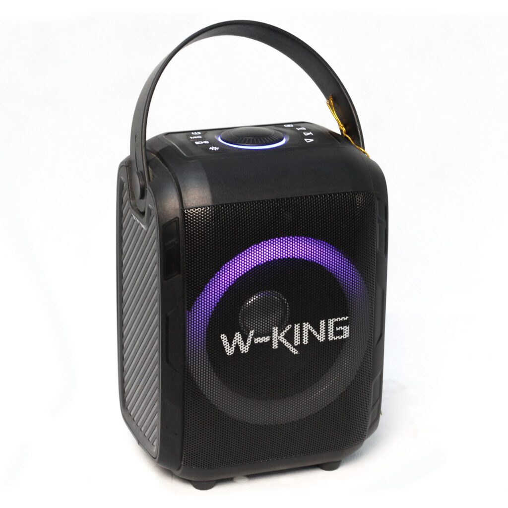 اسپیکر W-King T9 - فروشگاه پژواک