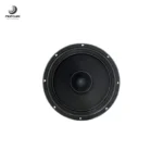 فول رنج 12 اینچ مدل B&C 320 برند Chairman